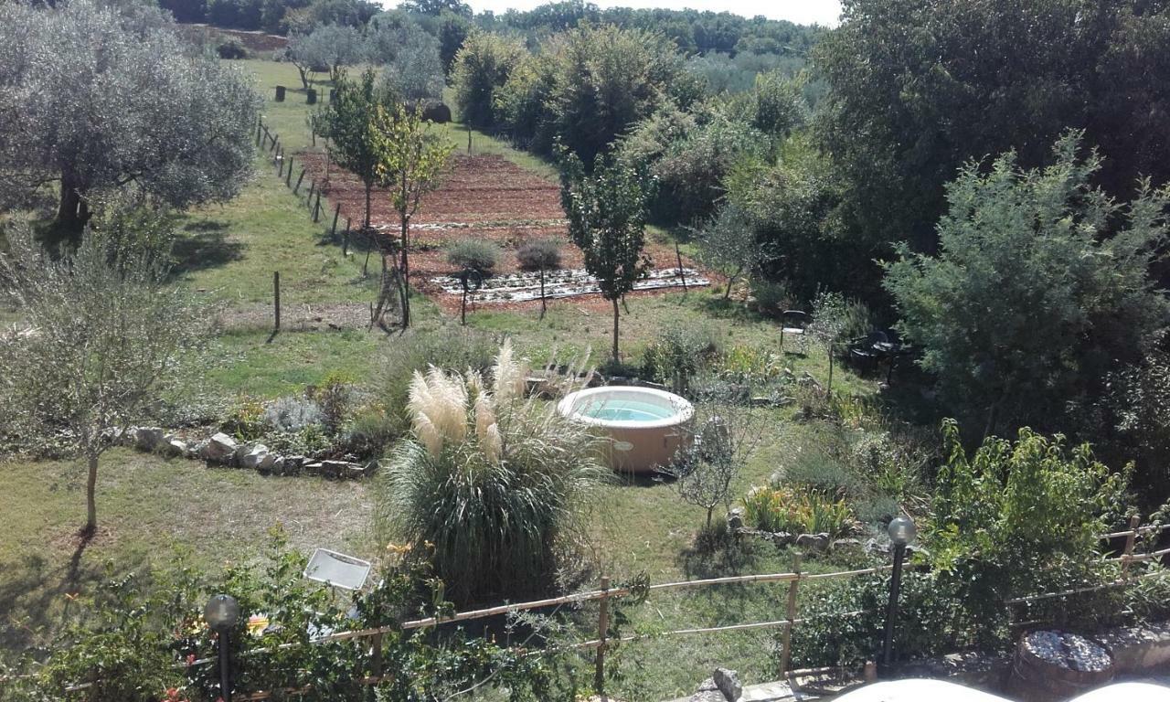 Apartments Demori Galižana المظهر الخارجي الصورة